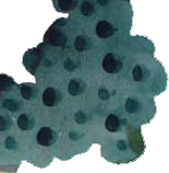 Curtis Hoekzema - painter in Venice, California.